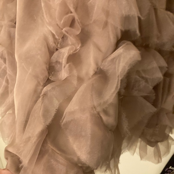 Lauren Conrad Runway brand new w tags. Tea length w tulle bottom - Picture 5 of 8